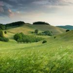 home hero 150x150.jpg